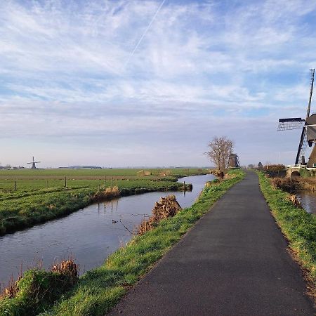Tiny House Het Polderhuisje Streefkerk 외부 사진